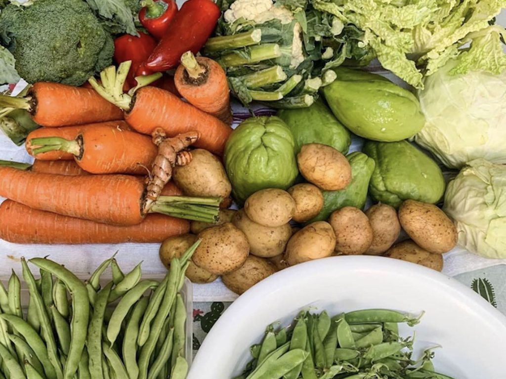 ترفندهای نگهداری طولانیتر از سبزیجات تازه در یخچال ترفندهای نگهداری طولانیتر از سبزیجات تازه در یخچال